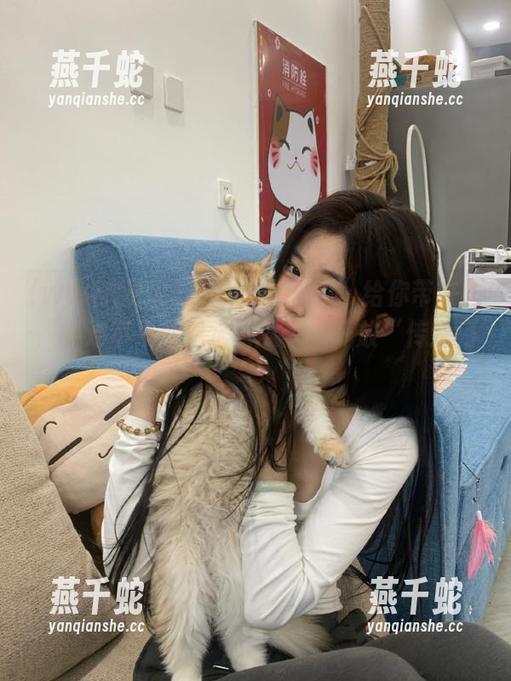 www.吃瓜 “www.吃瓜”给你带来的,绝对不只是温水煮瓜——开放“传送门”!
