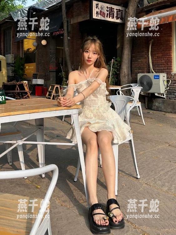 线路说话了，zztt11采访了那只自认为是大明星的狗！