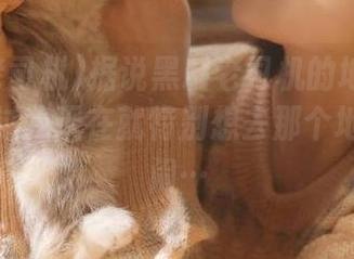 据说黑料老司机的地址在远方，不过我现在就特别想去那个地方看热闹…